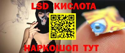 молекула духа Славгород