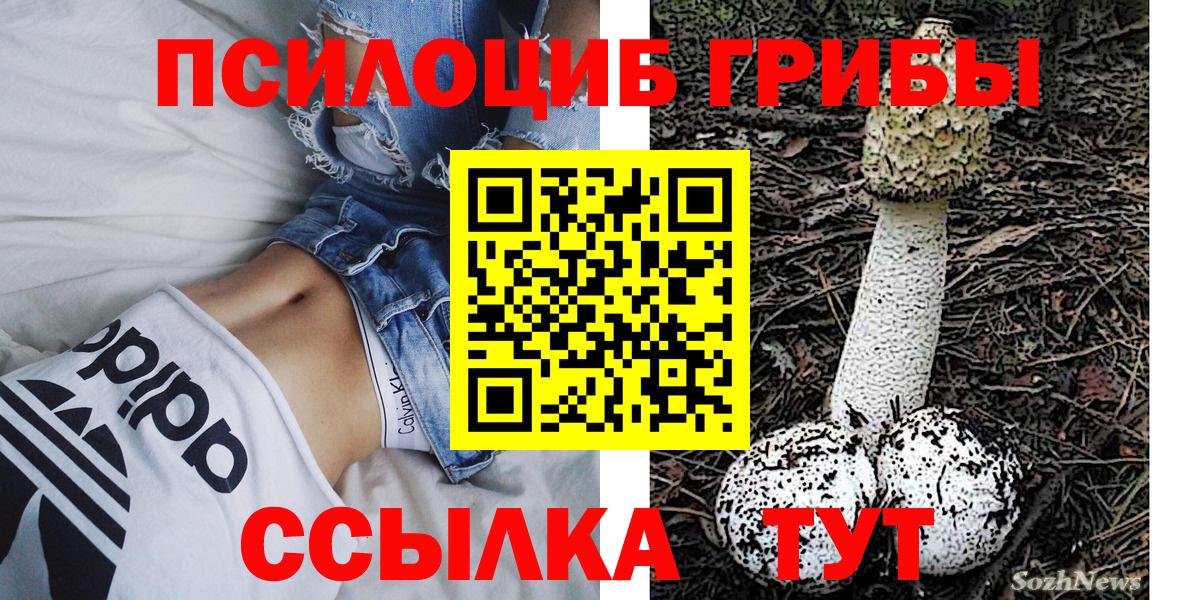 Псилоцибиновые грибы Psilocybine cubensis  Вход с VPN  Полысаево 